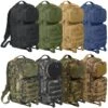 Brandit US Rucksack Assault Pack PATCH Versch. Farben 1 Brandit US Rucksack Assault Pack PATCH Versch. Farben -OutdoorPro Verkaufsgeschäft us rucksack assault pack patch versch farben
